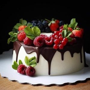 Meet your Posher, Daisy